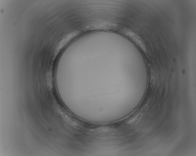 X0000077290578200611101345