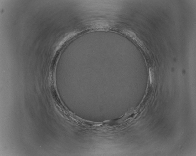 X0000077290579200611101345