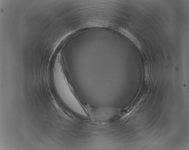 X0000077290580200611101345