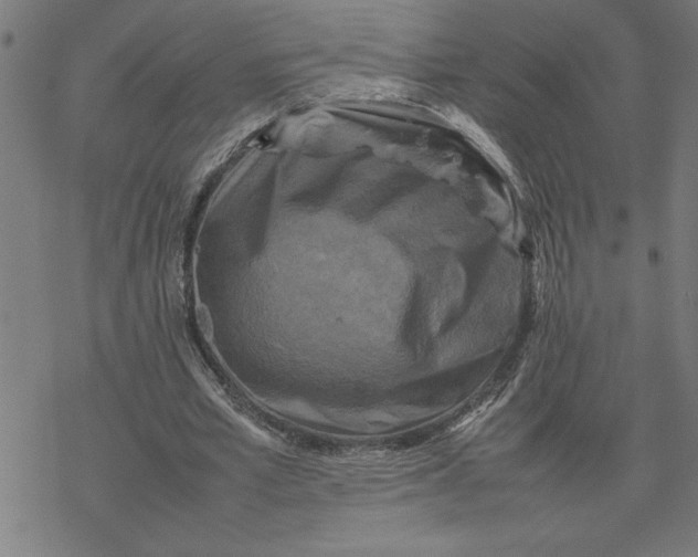 X0000077290581200611101345