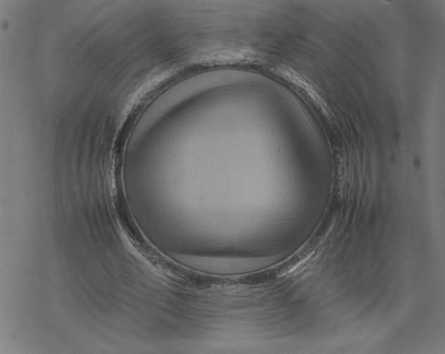 X0000077290582200611101345