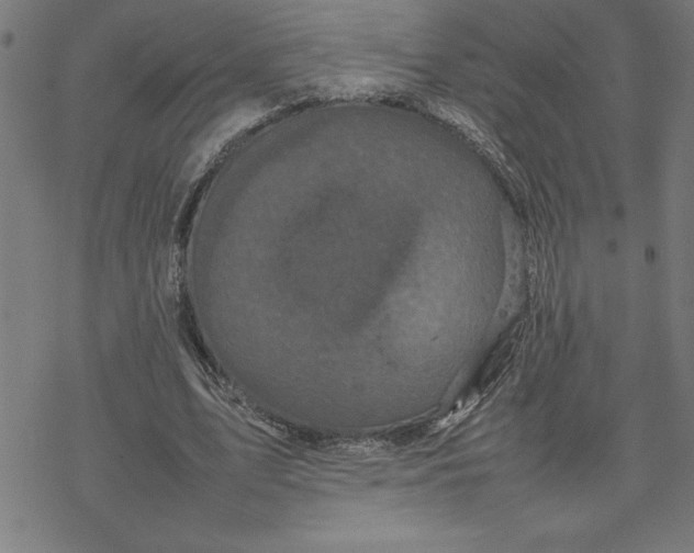 X0000077290583200611101345