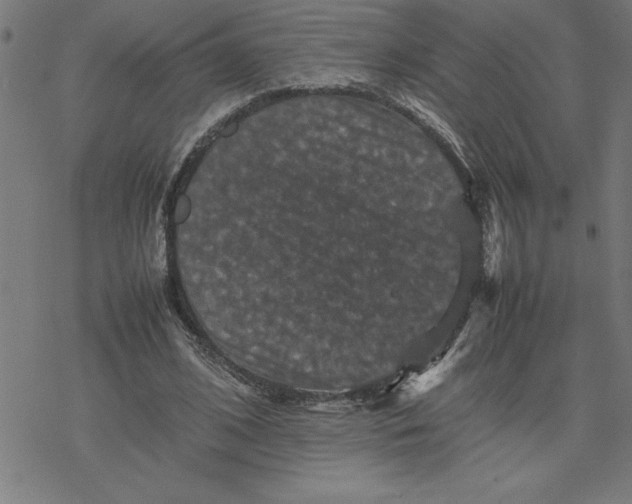 X0000077290584200611101345