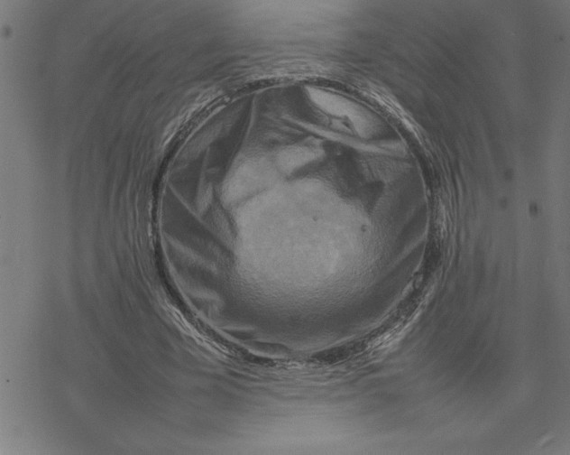 X0000077290585200611101345