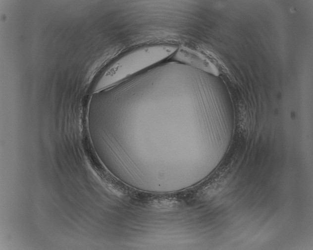 X0000077290586200611101345