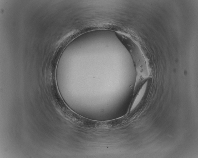 X0000077290587200611101345