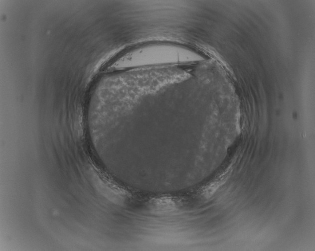 X0000077290588200611101345