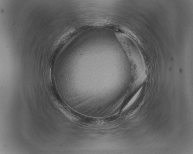 X0000077290589200611101345