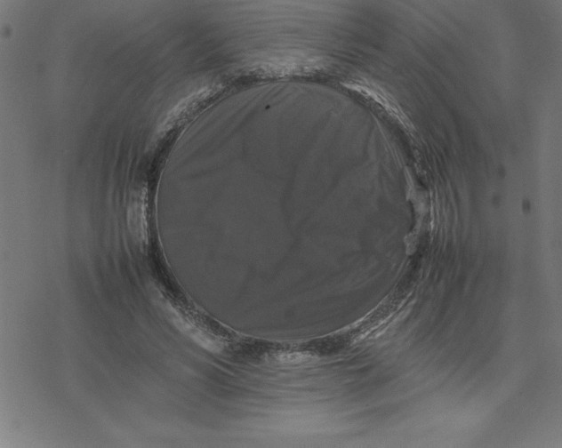 X0000077290590200611101345