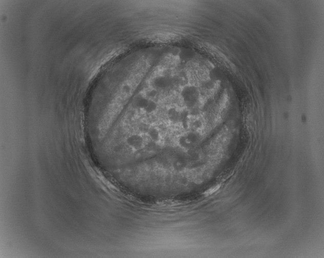 X0000077290591200611101345