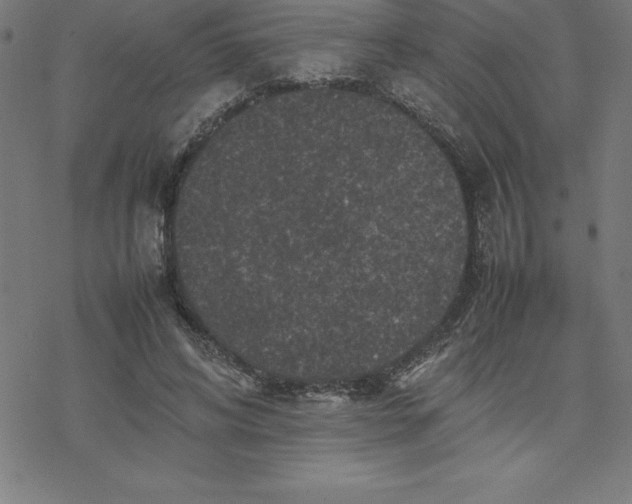 X0000077290592200611101345