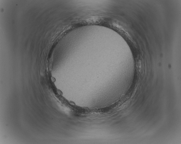 X0000077290593200611101345