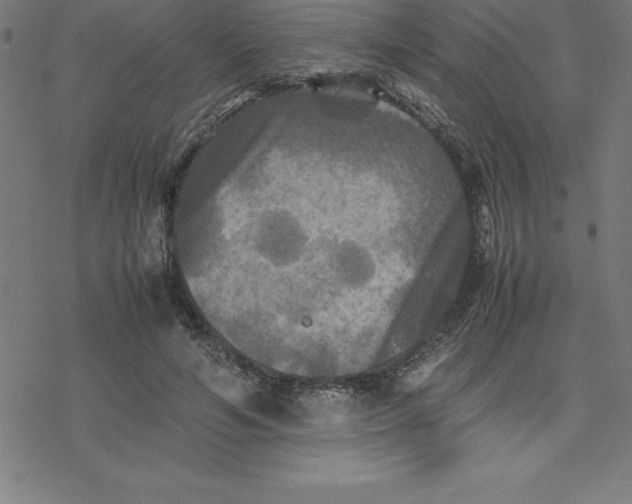 X0000077290594200611101345