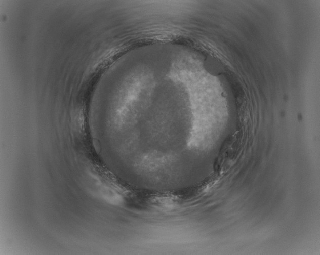 X0000077290595200611101345