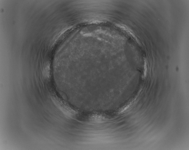 X0000077290596200611101345