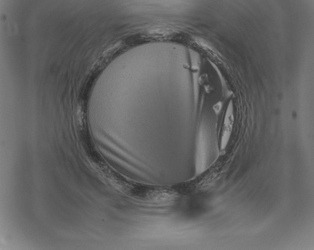 X0000077290597200611101345