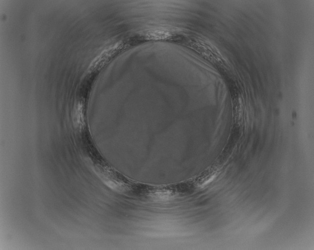 X0000077290598200611101345