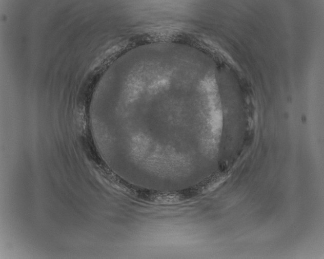 X0000077290599200611101345