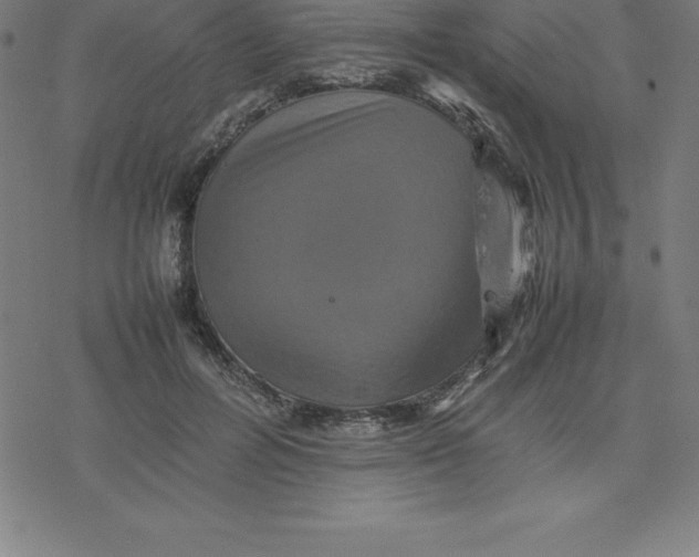 X0000077290600200611101345