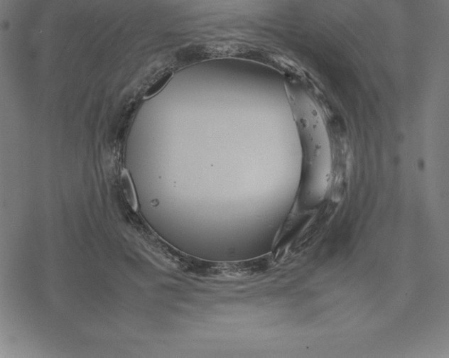 X0000077290601200611101345