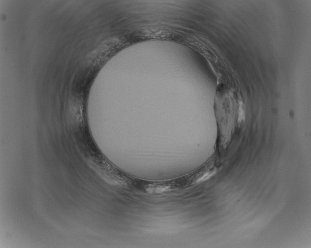 X0000077290602200611101345