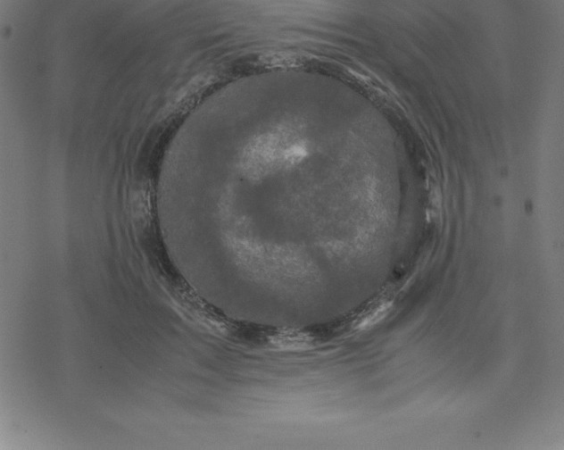 X0000077290603200611101345