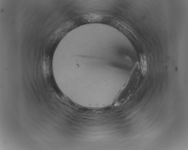 X0000077290604200611101345