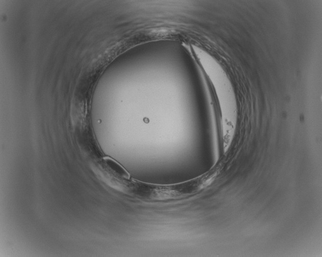 X0000077290605200611101345