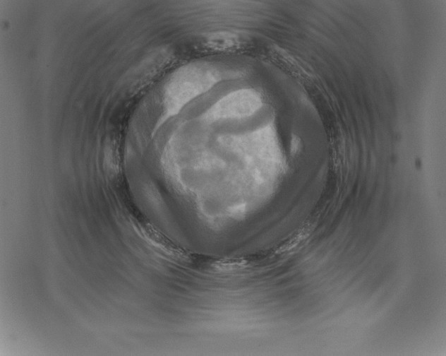 X0000077290606200611101345