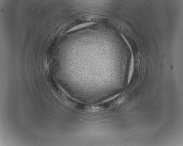 X0000077290607200611101345