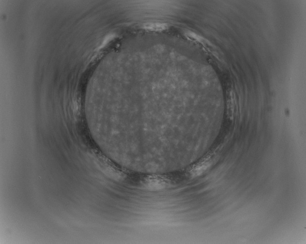 X0000077290608200611101345