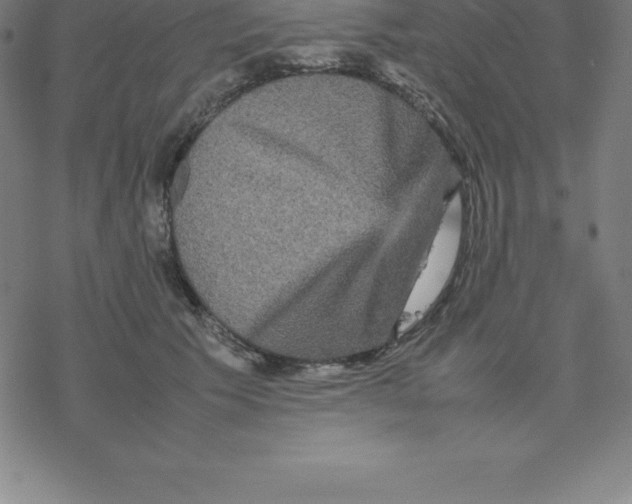 X0000077290609200611101344