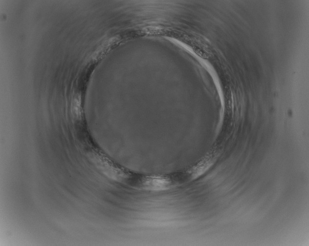 X0000077290610200611101344