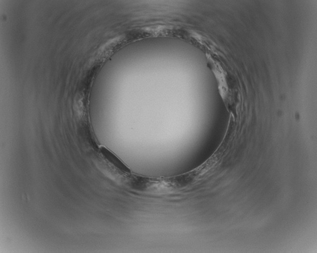 X0000077290611200611101344