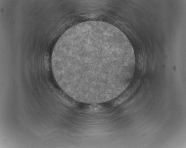 X0000077290612200611101344