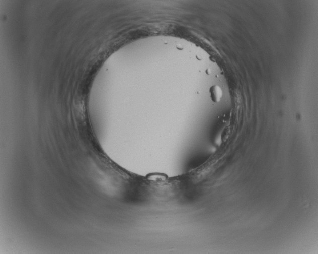 X0000077290613200611101344