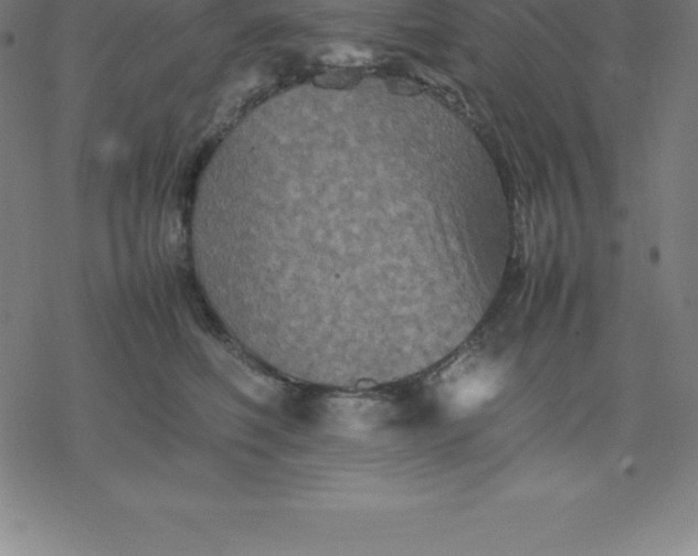 X0000077290614200611101344