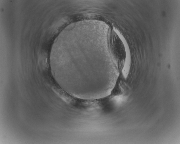 X0000077290615200611101344