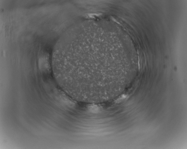 X0000077290616200611101344