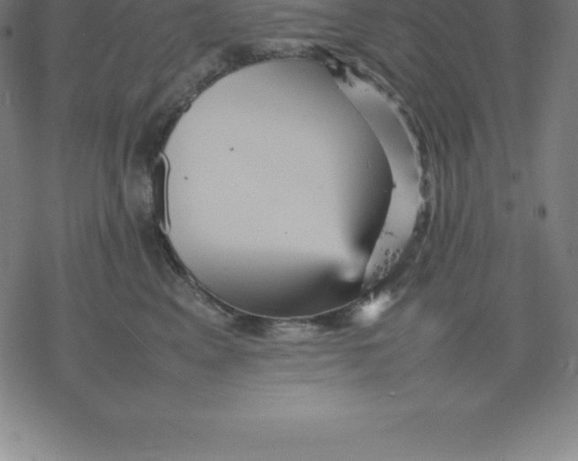 X0000077290617200611101344