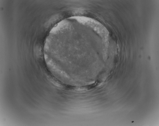 X0000077290619200611101344