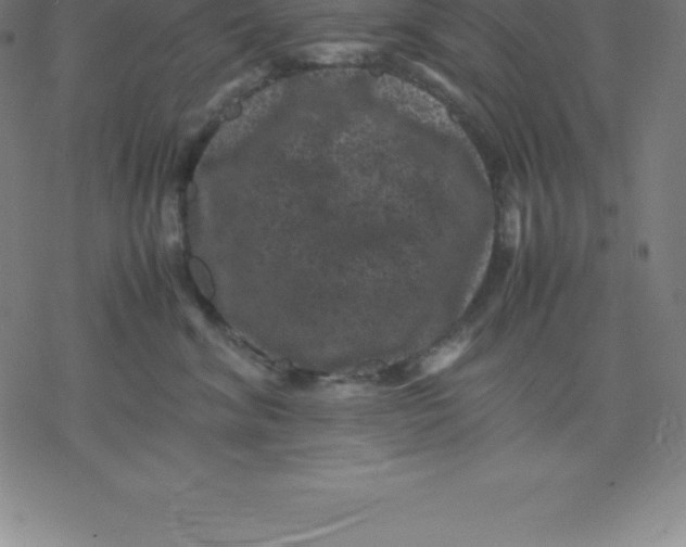 X0000077290620200611101344