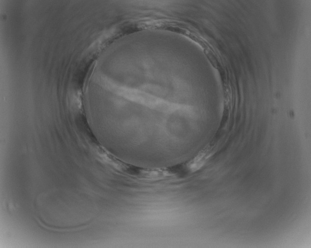 X0000077290621200611101344