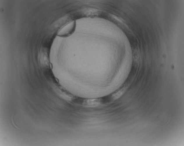 X0000077290622200611101344