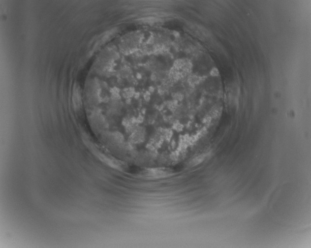 X0000077290623200611101344