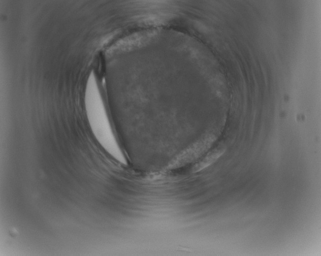 X0000077290624200611101344