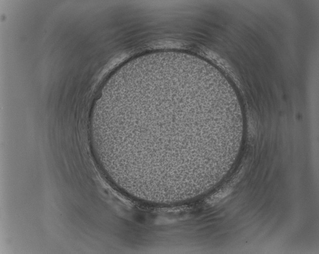 X0000077290625200611101343