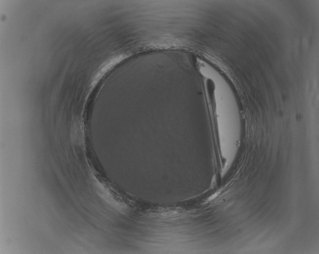 X0000077290626200611101343