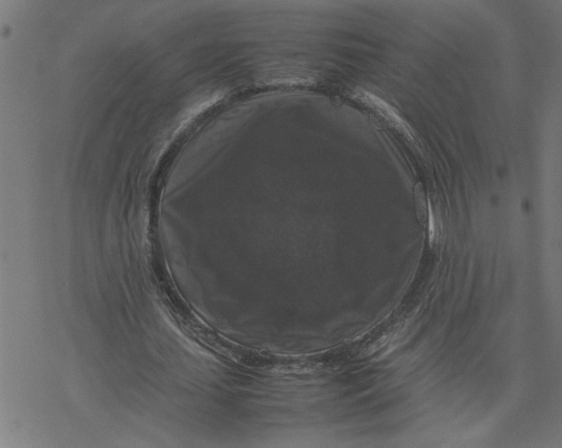 X0000077290627200611101343