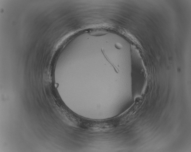 X0000077290628200611101344